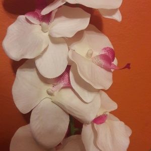 Meet your Posher, Gris